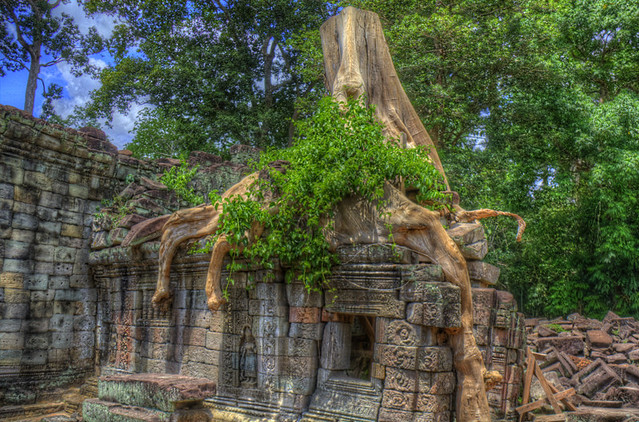 Angkor Tree House in HDR