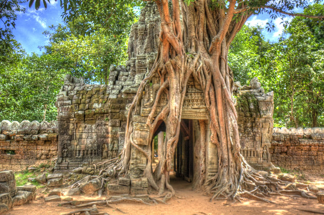 Angkor Wat Stump House HDR