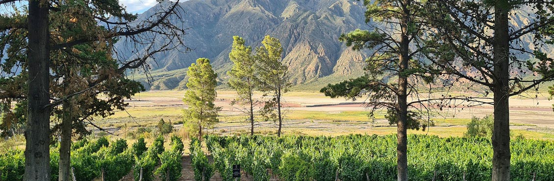 Mendoza City Featured Image