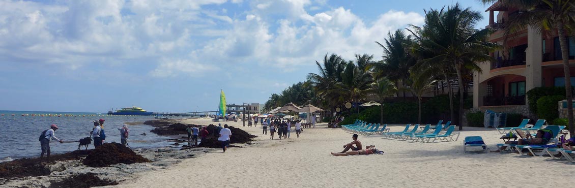 Playa del Carmen City Featured Image